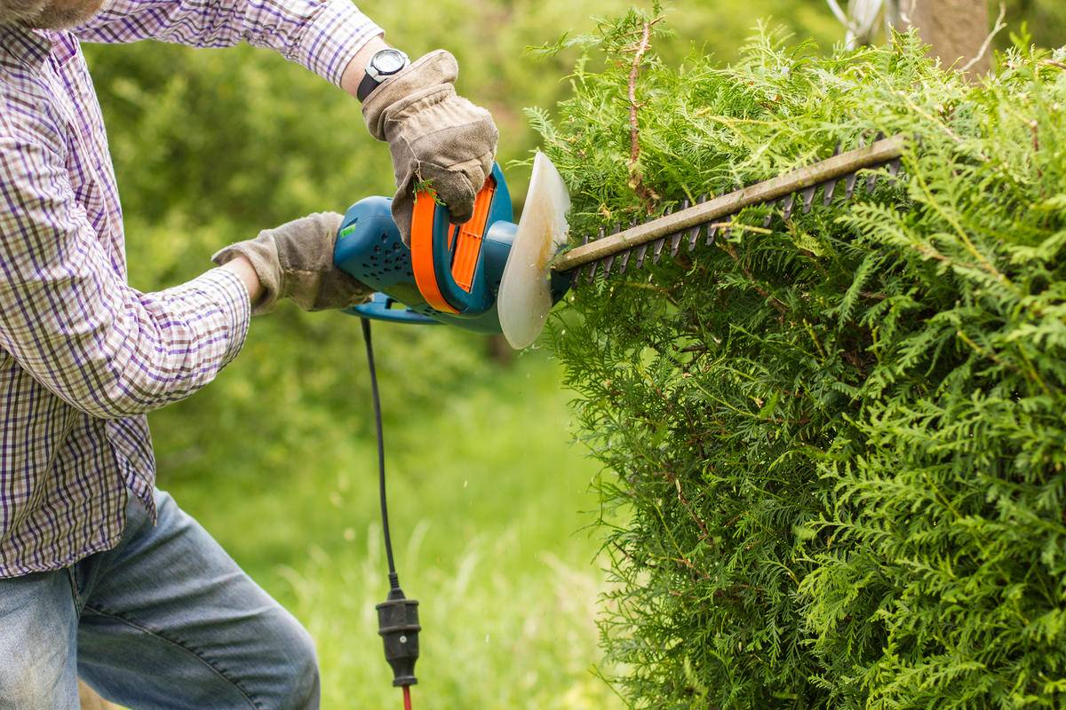 Débroussaillage d’espaces verts pour les mairies et particuliers ! Épinal